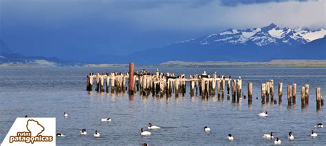 Ruta Náutica Puerto Yungay Puerto Natales Rutas Patagónicas