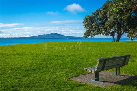 Landscape Scenery Of Milford Beach Auckland New Zealand