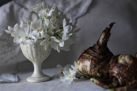 Maybe you would like to learn more about one of these? Party Resources: Petal Perfect