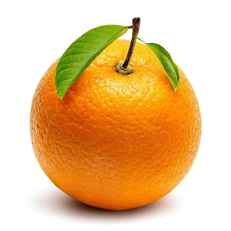 Bitter Orange Extract Citrus Aurantium