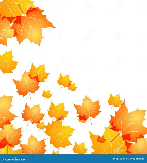 Autumn Background With Flying Maples Stock Vector Illustration Of