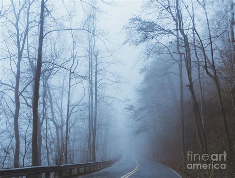 Foggy Road Photograph By Andrea Anderegg Fine Art America
