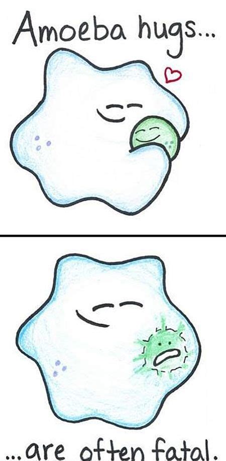 Beware Of Phagocytosis Biology Humor Science Jokes Biology Jokes