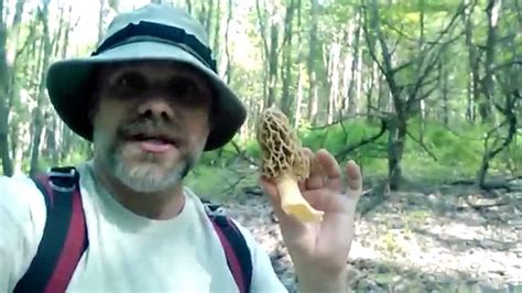 First Yellow Morels 2015 With The Mushroom Hunter Youtube