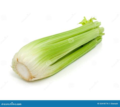 Celery Stems On White Stock Photo Image Of Organic Brunch 32418776