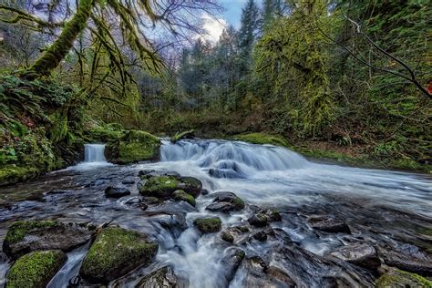 Homestead Falls On Sweet Creek Oregon Photograph By Bill Leach