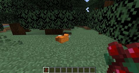 Guide To Taming A Fox In Minecraft 2023 Gaming News