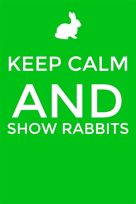 Show Rabbits Show Rabbits Calm Calm Artwork