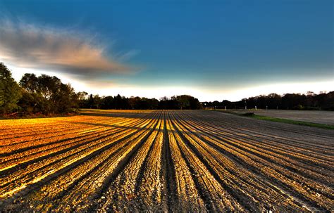 Farm Field Photograph By Robert Seifert Fine Art America