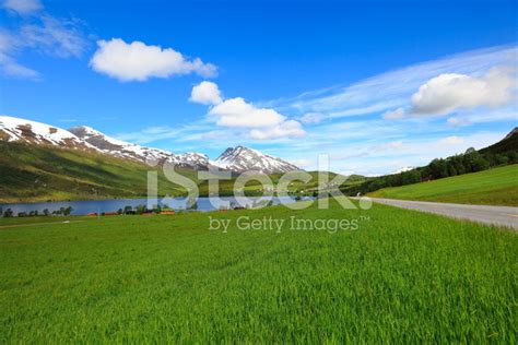 Rural Countryside Grass Meadow And Road Of Norway Scandinavia Stock