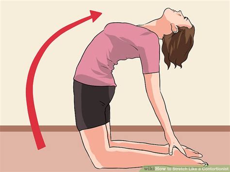 The posture's name comes practicing camel pose can help relieve lower back pain while stretching the front of the body, including the hip flexors and psoas muscle (the muscle that. 4 Ways to Stretch Like a Contortionist - wikiHow