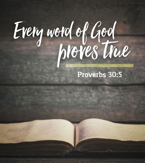 The Living — Proverbs 305 Esv Every Word Of God Proves