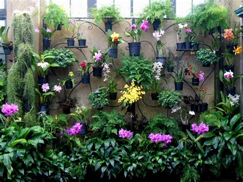 My Virtual Garden The Orchid House 2018