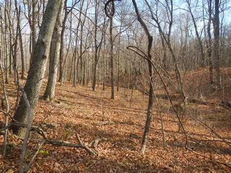 We did not find results for: Hunt Illinois