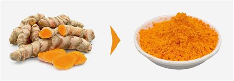 China Organic Curcumin Powder Suppliers Manufacturers Factory