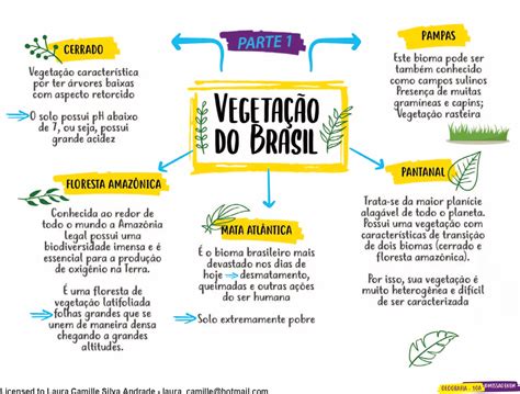 FÓrmula Geo Mapa Mental E Resumo Sobre A Vegetação Do Brasil