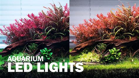 Aquascape Led Lighting Week Aqua M Series Rgb Led Aquarium Planted