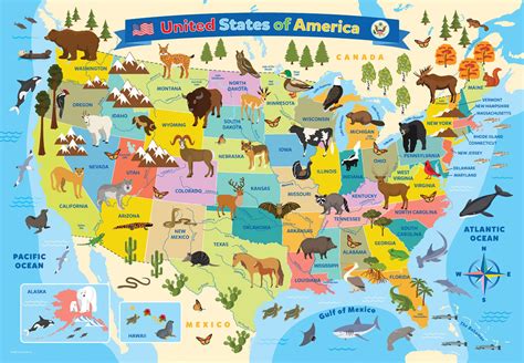 Illustrated Map of the United States of America at Eurographics