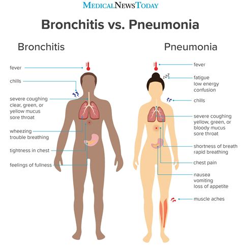 Bronchitis Vs Pneumonia How To Tell
