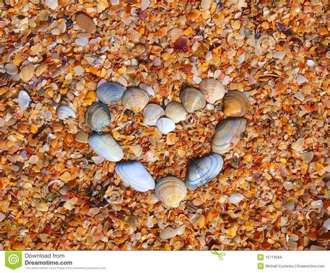 Heart And Made Of Sea Shells On The Beach Stock Photo