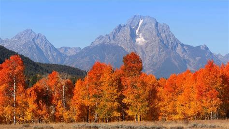 The 8 Best Hikes In Grand Teton National Park The Geeky Camper
