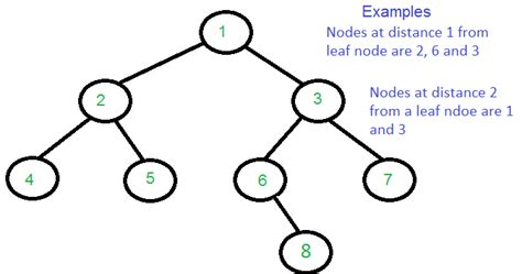 Print All Nodes That Are At Distance K From A Leaf Node Geeksforgeeks