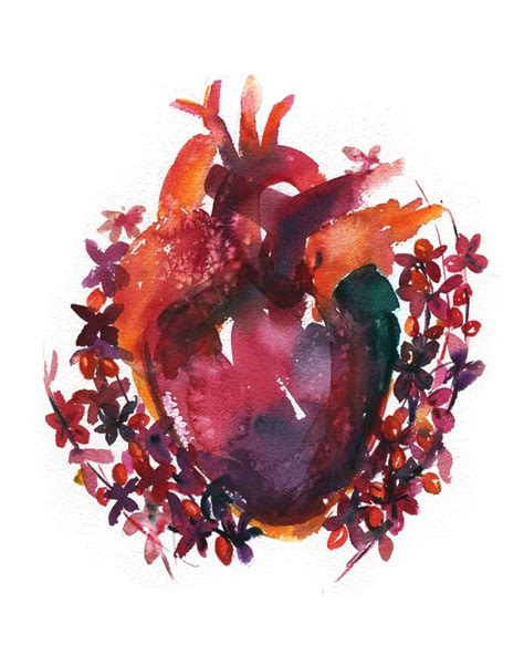 Anatomical Heart Watercolor Print T For Cardiologist Lyon Road Art