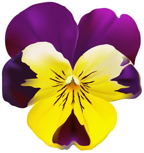 Violet Flower Transparent Png Clip Art Gallery