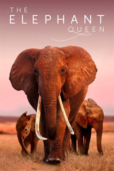 This is a birthday tribute ( 5/15 ) to fit , funny & fabulous francia james ! The Elephant Queen - film 2019 - AlloCiné