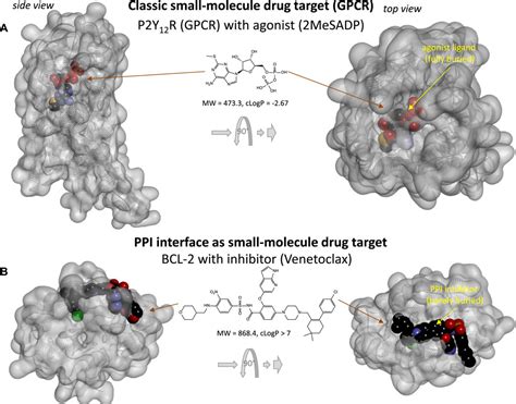 Frontiers Developing Small Molecule Inhibitors Of Protein Protein