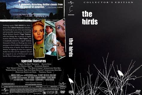 The Birds Movie Dvd Custom Covers Birdscustomfinal3 Dvd Covers