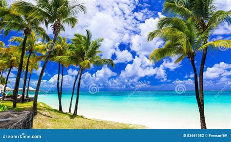 Tropical Scenery Beautiful Palm Beach With Turquoise Waters Ma Stock