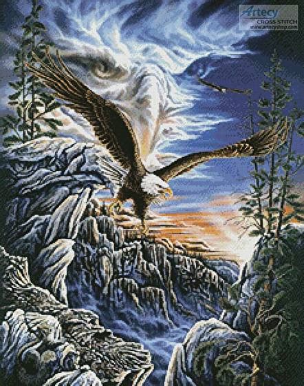 Counted cross stitch kit with chart, embroidery fabric: 10 Eagles Cross Stitch Pattern eagle