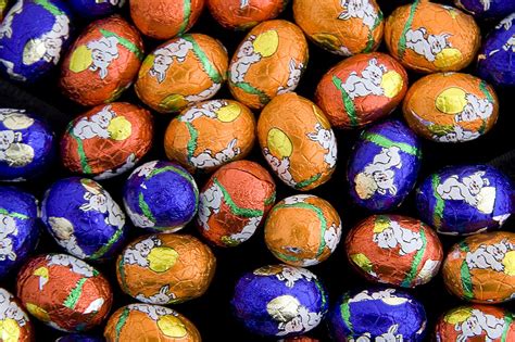 Easter Bunny Eggs Free Photo Download Freeimages