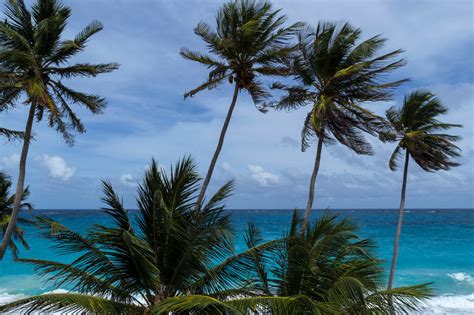 Bottom Bay Barbados Beautiful Places To Visit