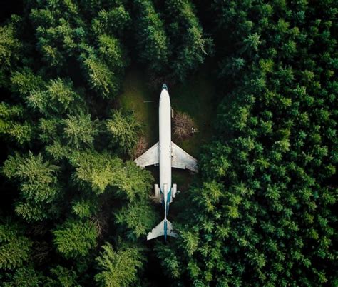 This Abandoned Plane In The Middle Of A Forest In Oregon Theforest