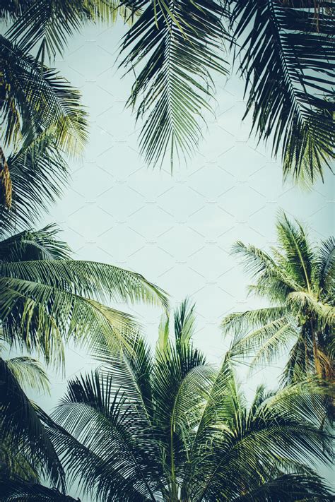 Tropical Vibes Background Featuring Tropical Climate Beach And