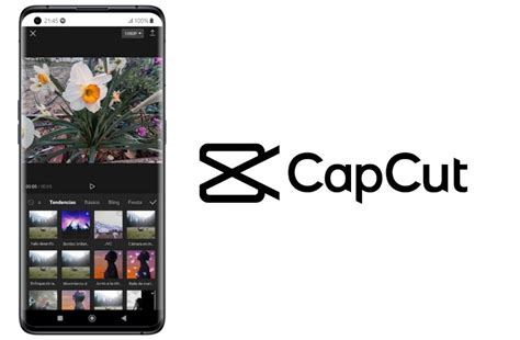 How To Use Blur Background Video Capcut For Stunning Videos