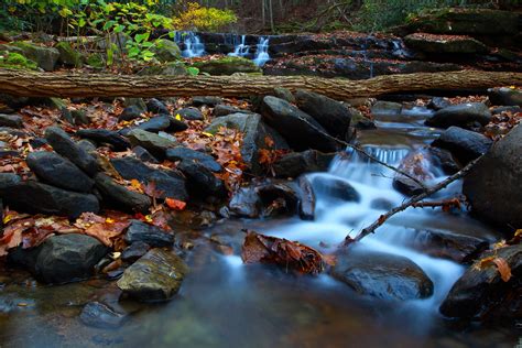 Fallen Tree Forest Stream Waterfalls Creeks And Streams Free Nature