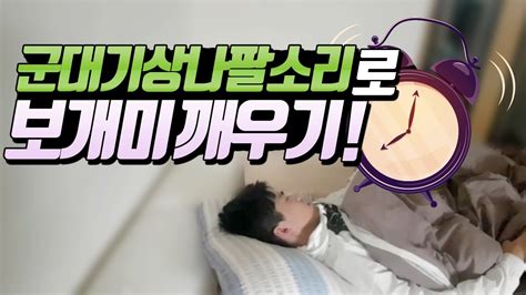 신예 도레앙 작가의 감성 폭발 연재작. 보겸이 다시 군대가다?! 군대기상알람브금으로 강제기상 후 ...