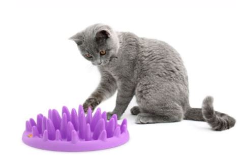 Alibaba.com offers 1,092 cat puzzle feeder products. 7 cat food puzzles that will feed your cat's hunter spirit