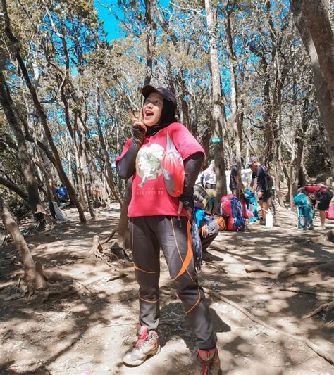 Pendakian gunung gede via selabintana sukabumi 18 km. Mengenal Gunung Gede Lebih Dekat Sebelum Mendaki