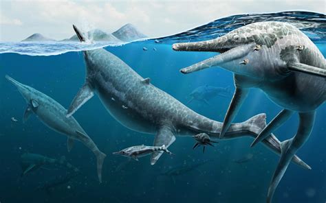 Decoding The Past Scientists Uncover The Origin Of Mysterious Giant Extinct Marine Reptile