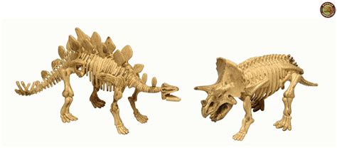 Finding all dinosaur bones in rdr2 is needed for 100% completion. Dinosaur Bones Skeletons Puzzle Kit | Dinosaur Corporation