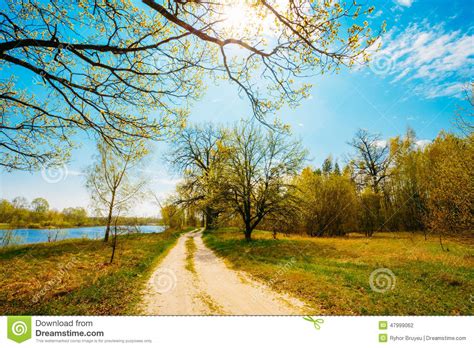 Spring Season In Park Green Young Grass Trees On Blue