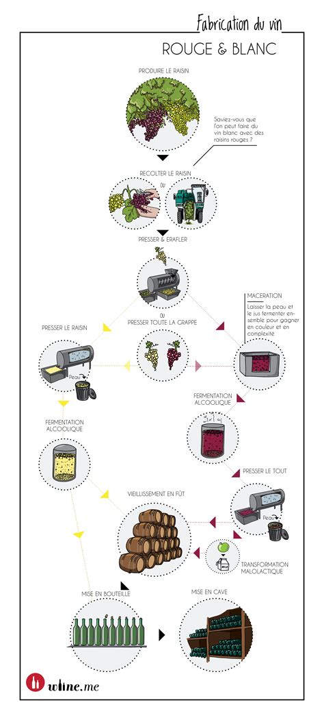 Comment fait-on du vin? Partie II - Fabrication du vin (avec images