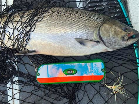 12 Great Lures For Chinook Salmon Fishing In Puget Sound