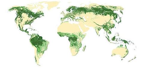 World Forest Cover Maps And Natural Tree Ranges