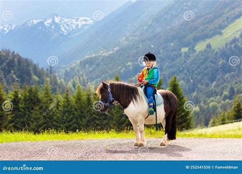 Kids Riding Pony Child On Horse In Alps Mountains Stock Photo Image