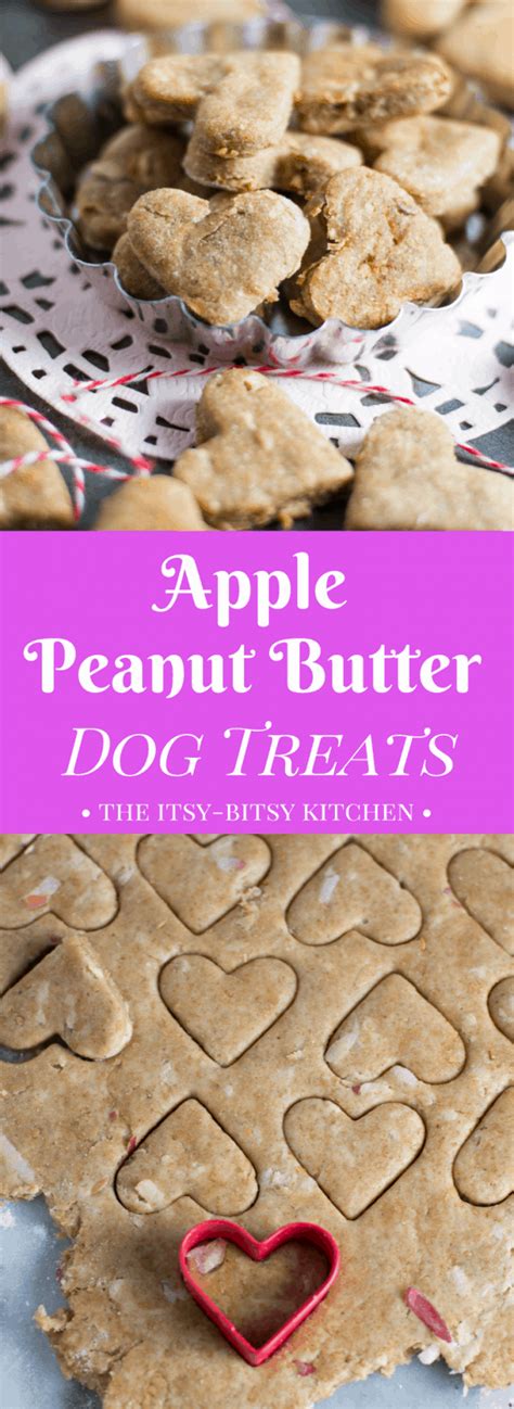Apple Peanut Butter Dog Treats The Itsy Bitsy Kitchen